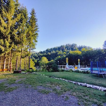 Hotel Cabana Cerbu Bozovici Exterior foto