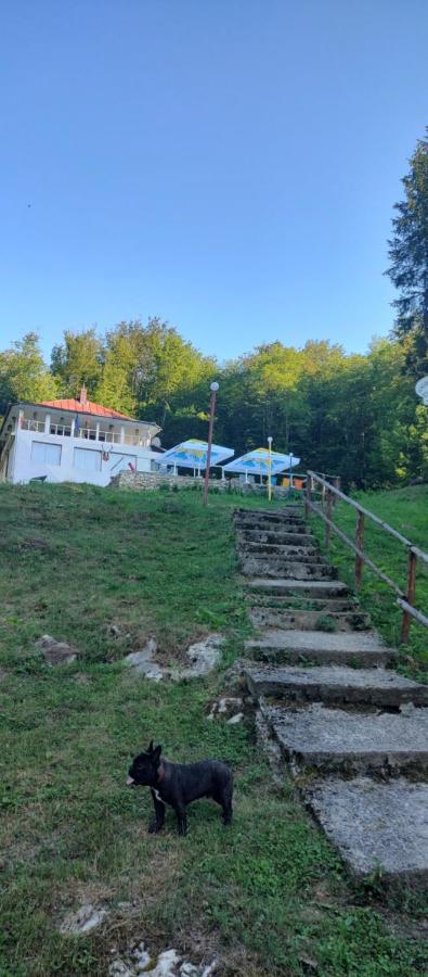 Hotel Cabana Cerbu Bozovici Exterior foto